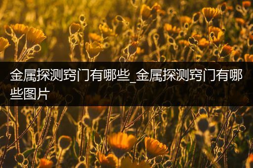 金属探测窍门有哪些_金属探测窍门有哪些图片