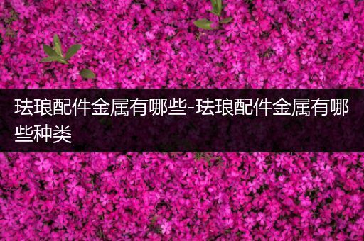 珐琅配件金属有哪些-珐琅配件金属有哪些种类