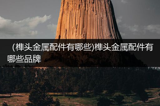 （榫头金属配件有哪些)榫头金属配件有哪些品牌