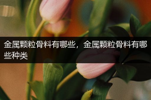 金属颗粒骨料有哪些，金属颗粒骨料有哪些种类
