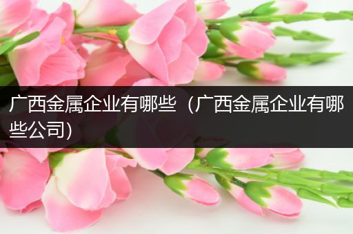 广西金属企业有哪些（广西金属企业有哪些公司）