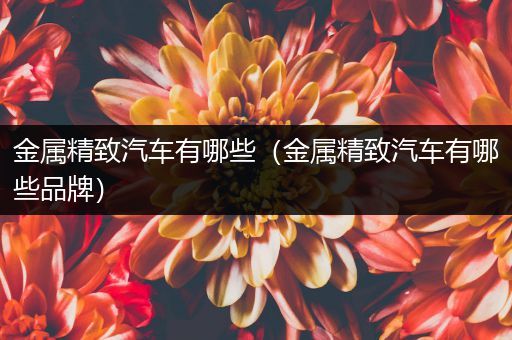 金属精致汽车有哪些（金属精致汽车有哪些品牌）