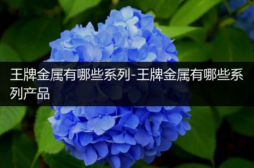 王牌金属有哪些系列-王牌金属有哪些系列产品
