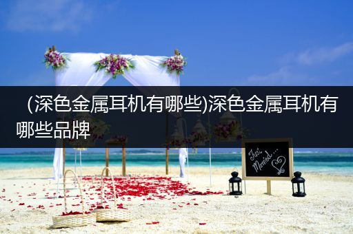 （深色金属耳机有哪些)深色金属耳机有哪些品牌