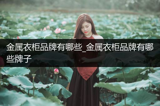 金属衣柜品牌有哪些_金属衣柜品牌有哪些牌子