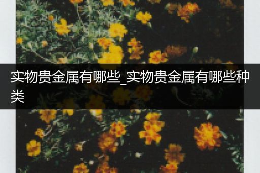 实物贵金属有哪些_实物贵金属有哪些种类