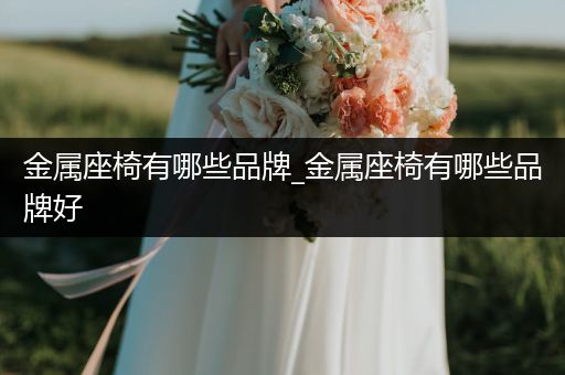 金属座椅有哪些品牌_金属座椅有哪些品牌好