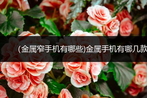 （金属窄手机有哪些)金属手机有哪几款