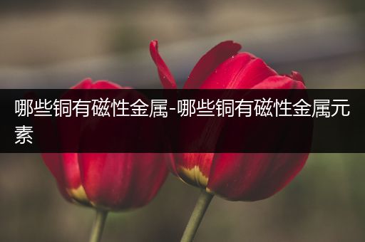 哪些铜有磁性金属-哪些铜有磁性金属元素