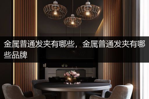 金属普通发夹有哪些，金属普通发夹有哪些品牌