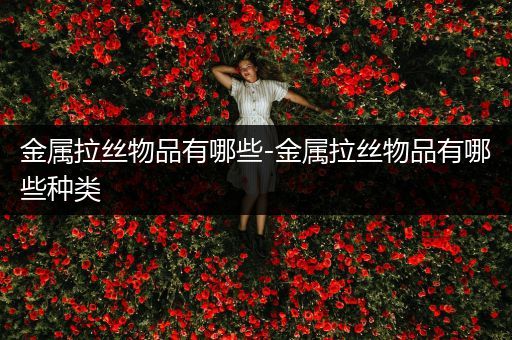 金属拉丝物品有哪些-金属拉丝物品有哪些种类