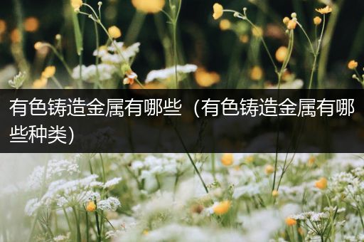 有色铸造金属有哪些（有色铸造金属有哪些种类）