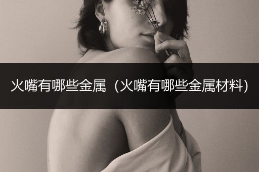 火嘴有哪些金属（火嘴有哪些金属材料）