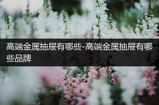 高端金属抽屉有哪些-高端金属抽屉有哪些品牌