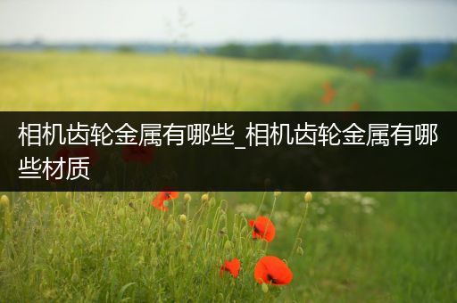相机齿轮金属有哪些_相机齿轮金属有哪些材质