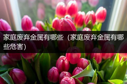 家庭废弃金属有哪些（家庭废弃金属有哪些危害）
