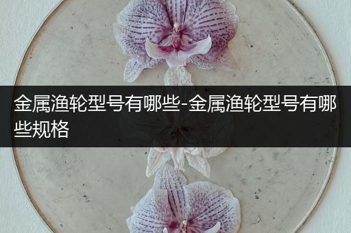 金属渔轮型号有哪些-金属渔轮型号有哪些规格