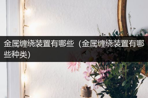 金属缠绕装置有哪些（金属缠绕装置有哪些种类）