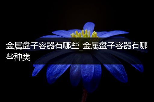 金属盘子容器有哪些_金属盘子容器有哪些种类