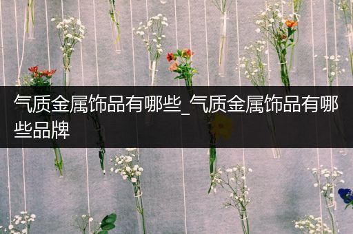 气质金属饰品有哪些_气质金属饰品有哪些品牌
