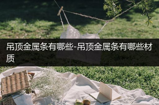 吊顶金属条有哪些-吊顶金属条有哪些材质