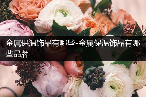 金属保温饰品有哪些-金属保温饰品有哪些品牌