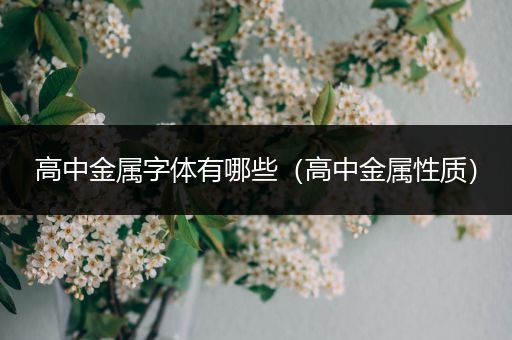高中金属字体有哪些（高中金属性质）