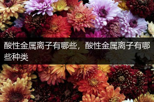 酸性金属离子有哪些，酸性金属离子有哪些种类