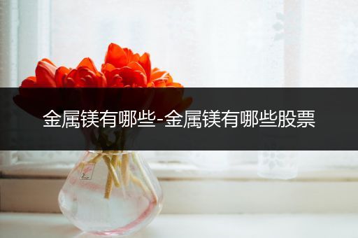 金属镁有哪些-金属镁有哪些股票