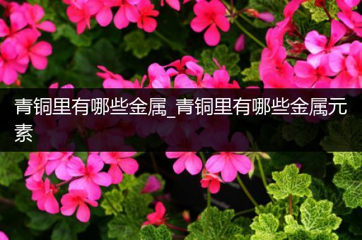 青铜里有哪些金属_青铜里有哪些金属元素