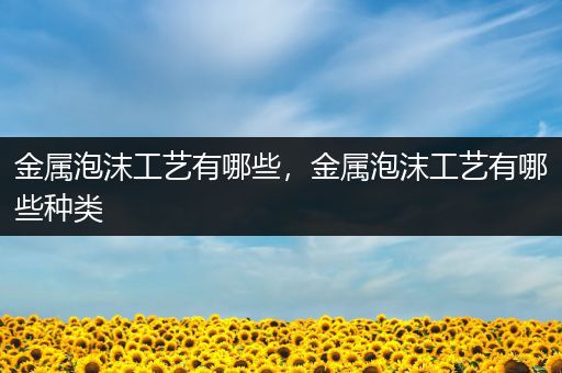 金属泡沫工艺有哪些，金属泡沫工艺有哪些种类