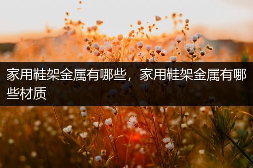 家用鞋架金属有哪些，家用鞋架金属有哪些材质