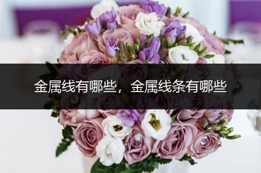 金属线有哪些，金属线条有哪些