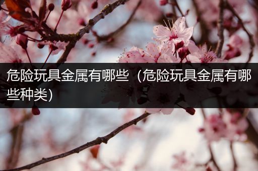 危险玩具金属有哪些（危险玩具金属有哪些种类）