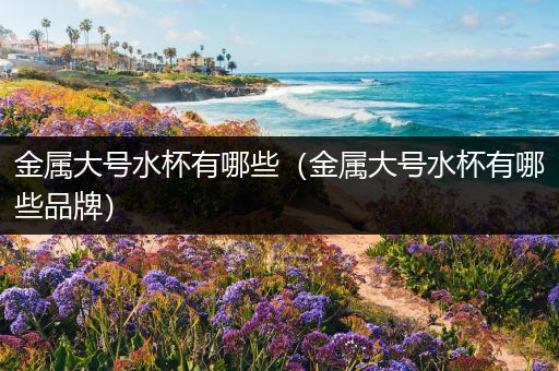 金属大号水杯有哪些（金属大号水杯有哪些品牌）