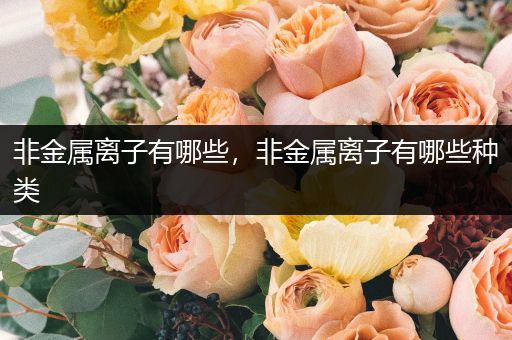 非金属离子有哪些，非金属离子有哪些种类