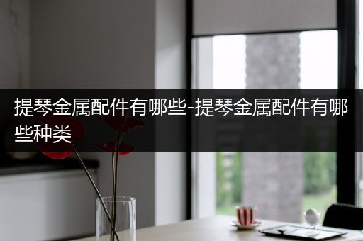 提琴金属配件有哪些-提琴金属配件有哪些种类