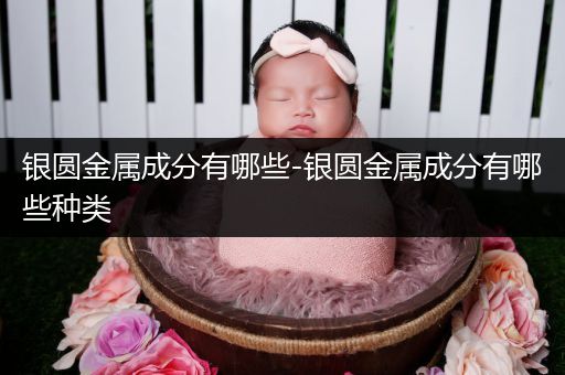 银圆金属成分有哪些-银圆金属成分有哪些种类
