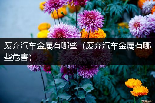 废弃汽车金属有哪些（废弃汽车金属有哪些危害）