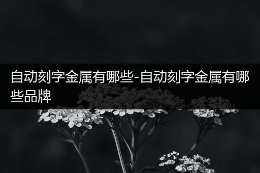 自动刻字金属有哪些-自动刻字金属有哪些品牌