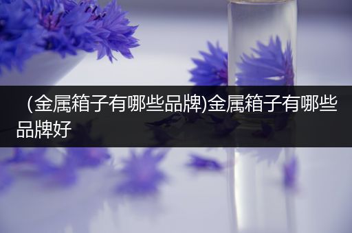 （金属箱子有哪些品牌)金属箱子有哪些品牌好