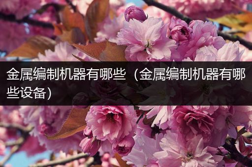 金属编制机器有哪些（金属编制机器有哪些设备）