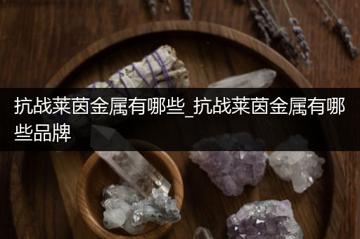 抗战莱茵金属有哪些_抗战莱茵金属有哪些品牌