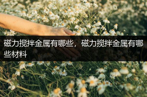 磁力搅拌金属有哪些，磁力搅拌金属有哪些材料