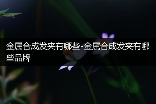 金属合成发夹有哪些-金属合成发夹有哪些品牌