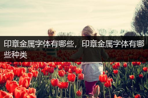 印章金属字体有哪些，印章金属字体有哪些种类