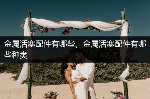金属活塞配件有哪些，金属活塞配件有哪些种类