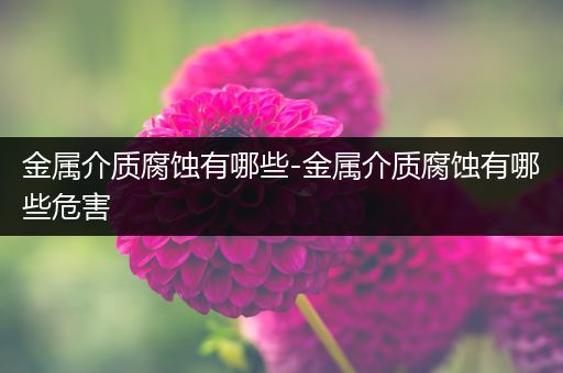 金属介质腐蚀有哪些-金属介质腐蚀有哪些危害