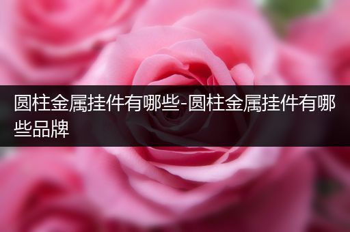圆柱金属挂件有哪些-圆柱金属挂件有哪些品牌