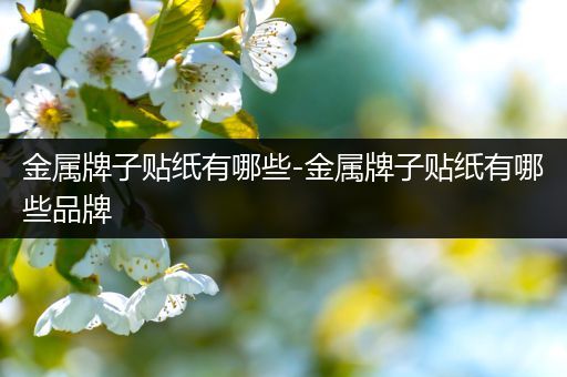金属牌子贴纸有哪些-金属牌子贴纸有哪些品牌